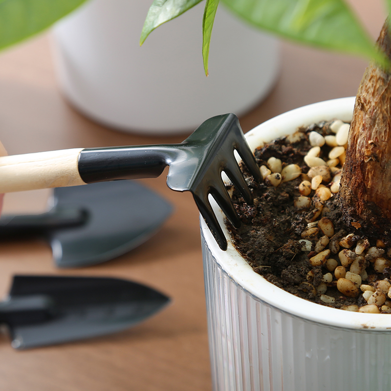 种花工具家用套装种菜栽花养花多肉铲松土耙子铁锹园艺小铲子三件