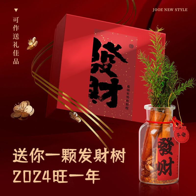 新款肉桂生财瓶透明小玻璃瓶香薰摆件招财玻璃瓶 diy装饰生日礼物 - 图3