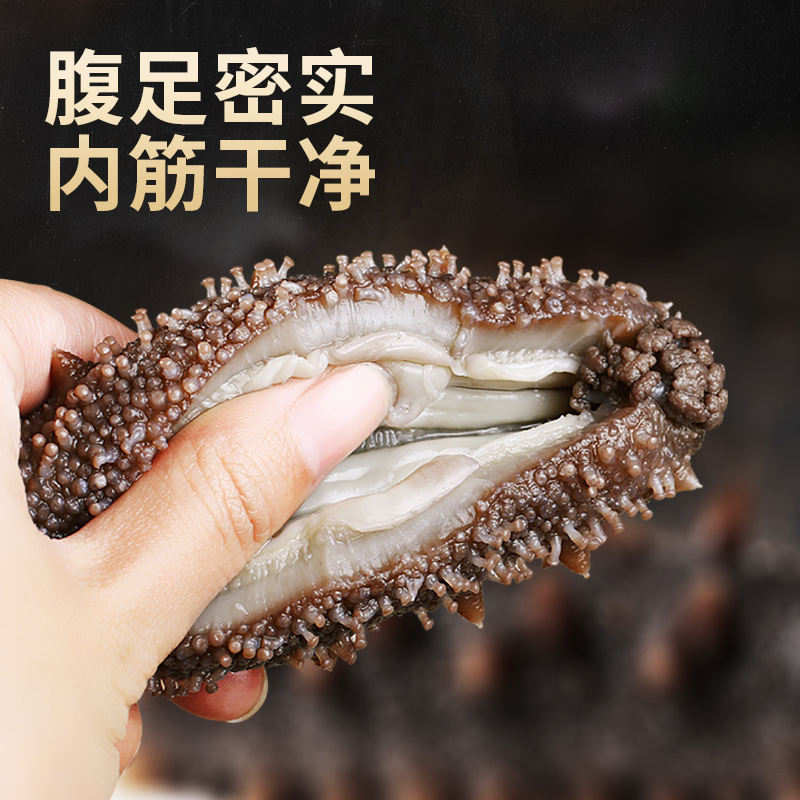 【双十一】东上御品 即食海参500g（4-6头/7-9头/10-12头）自选 - 图1