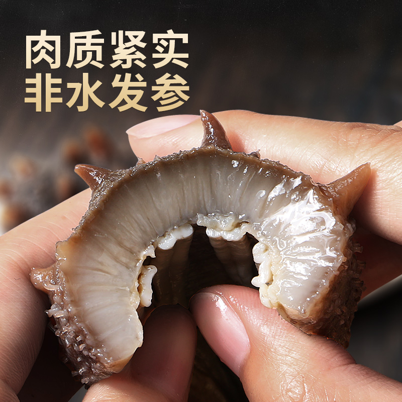 【双十一】东上御品 即食海参500g（4-6头/7-9头/10-12头）自选 - 图2