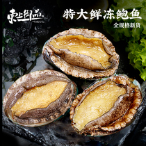 Fresh Abalone Live Extra-large Seafood Aquatic Wholesale Heating Ready-to-use Megapixel Small Abalone Juice for Fresh Fried Rice