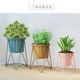 Multi-layered indoor flower shelves are simple and modern