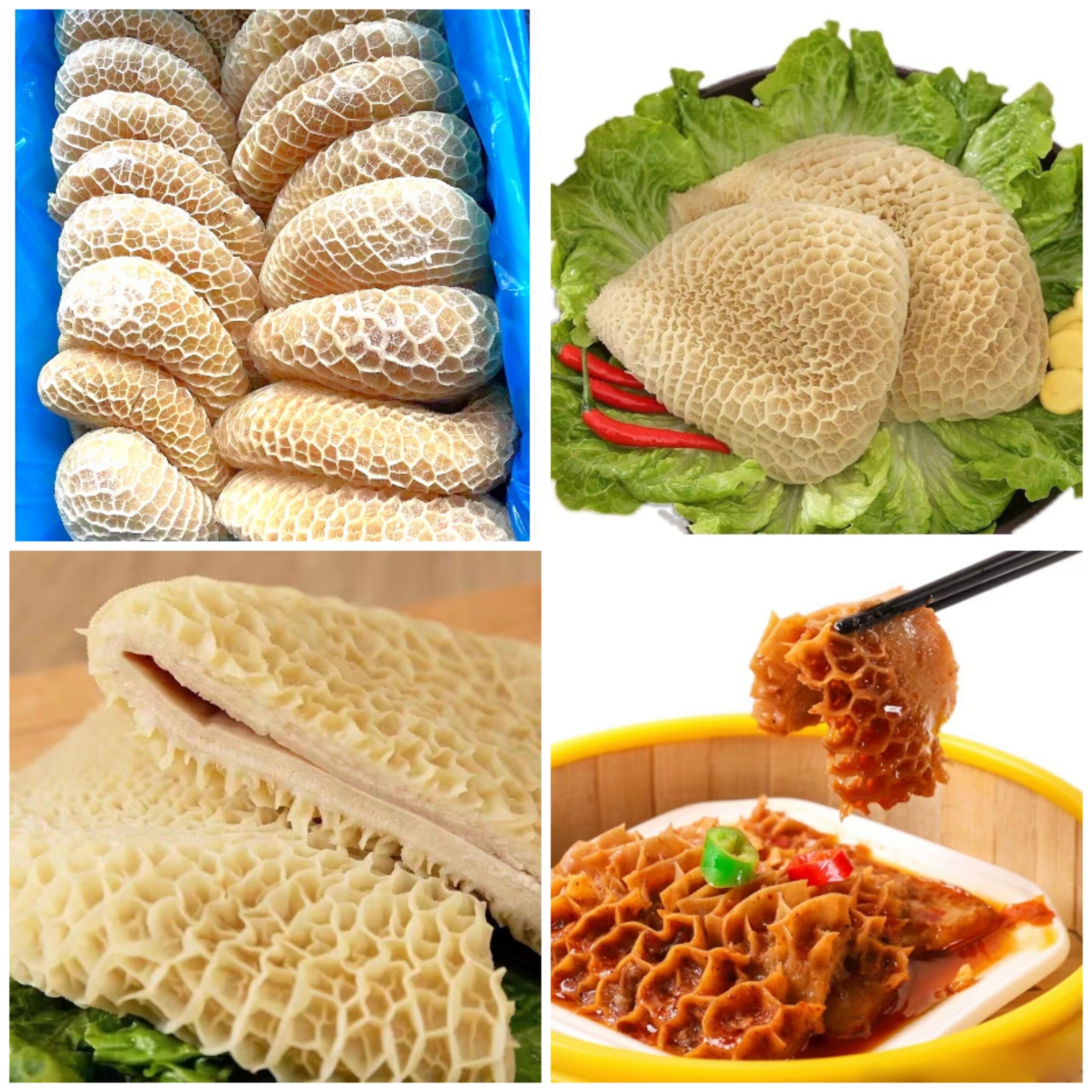 金钱肚广牧丰牛肚牛杂牛肉肚冷冻牛速冻牛餐饮火锅食用食材食品