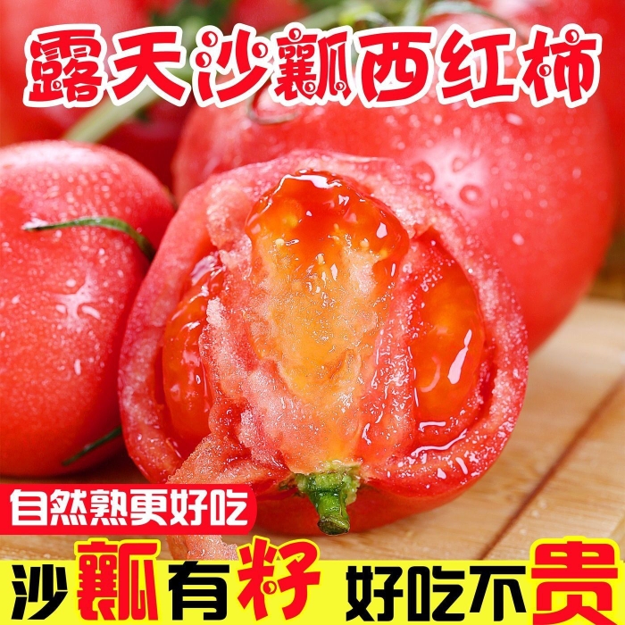 云南露天沙瓤西红柿自然熟有籽现摘2-9斤新鲜蔬菜高原种植生吃 - 图0