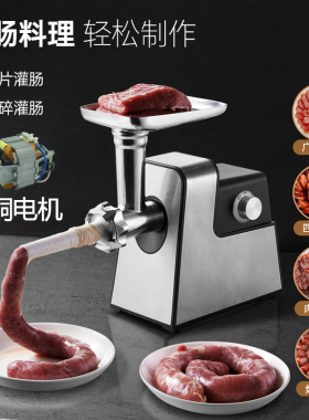 电动绞肉机家用台式多功能碎肉机绞肉馅机自动灌肠香肠灌腊肠神器