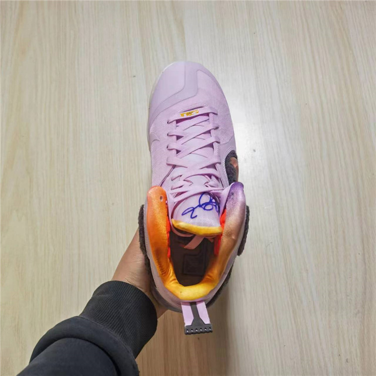 耐克 Nike LeBron 9 LBJ 男子詹姆斯9代气垫实战篮球鞋DJ3908-600 - 图1