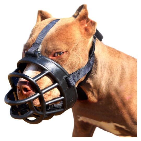 Bully Silicone Castro Pit Muzzle for Medium and Large Dogs