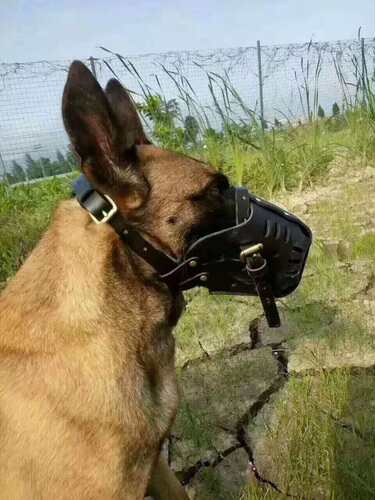 牛皮狗狗嘴套中大型犬马犬杜宾东德牧撞击口笼防咬人口罩训犬实战 - 图1