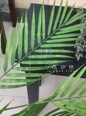 室内仿真花葵叶假树叶散尾叶道具
