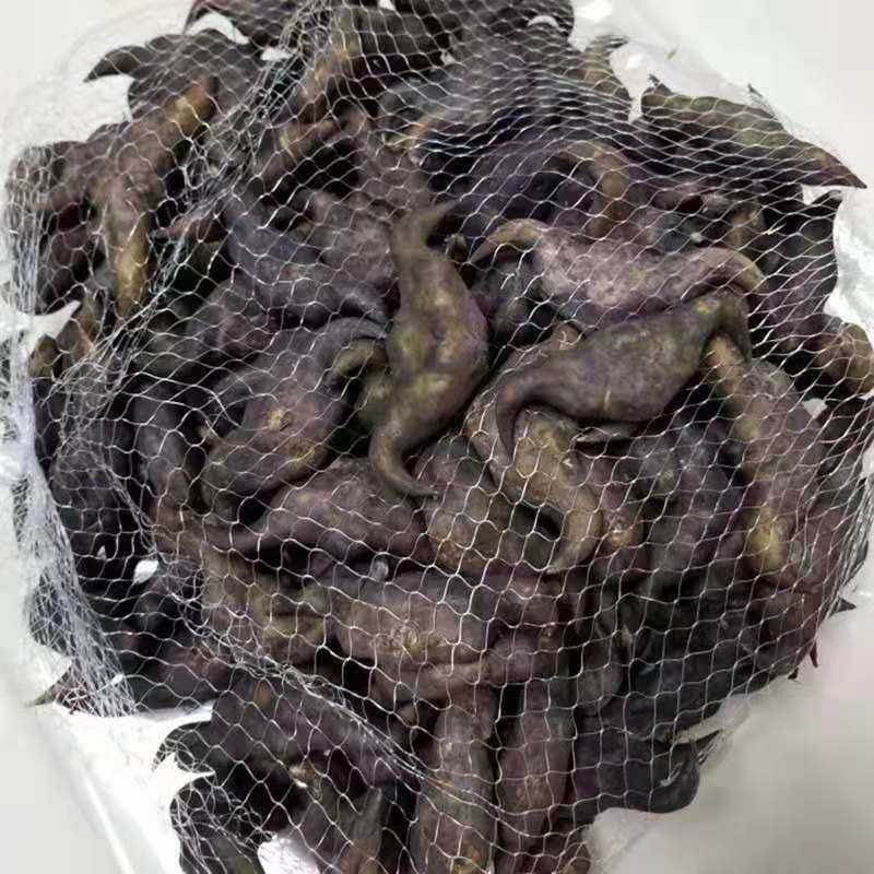 新鲜老菱角湖北特产粉糯零食棱角脱皮老棱角生菱角多规格,淘宝优惠券,粉丝福利购,淘宝优惠卷