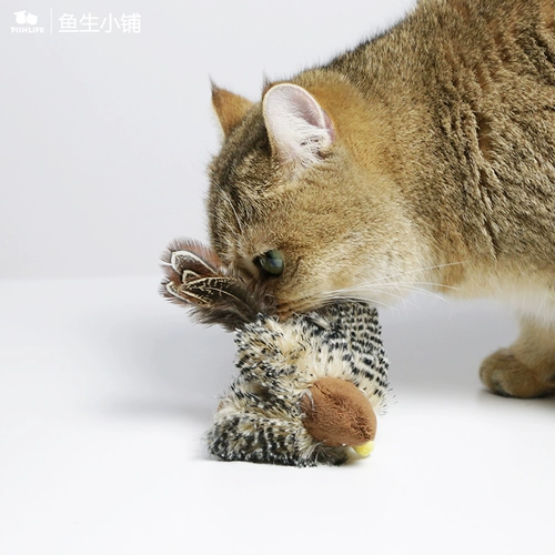 鱼生 小铺 捕猎 捕猎 贵 贵 小鸟 老鼠 猫咪 玩具 逗 猫棒仿真发声 猫棒仿真发声 猫棒仿真发声 猫棒仿真发声 猫棒仿真发声 猫棒仿真发声 猫棒仿真发声