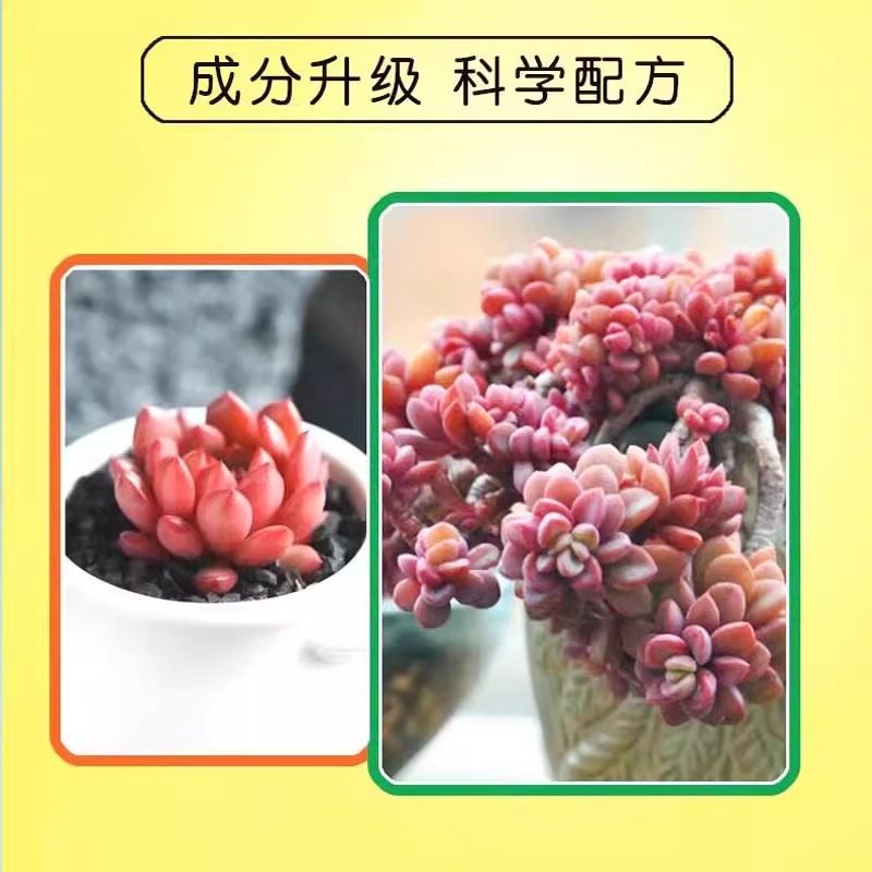 多肉专用矮胖素防徒长增肥上色矮壮剂生石花盆栽通用型浓缩营养液,淘宝优惠券,粉丝福利购,淘宝优惠卷