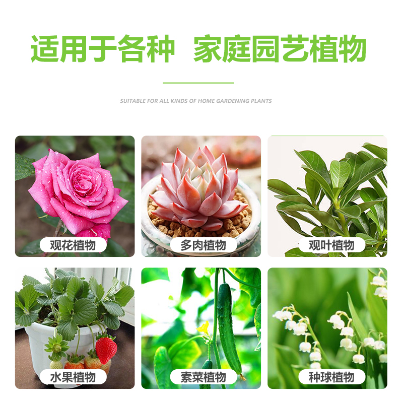 植物活力素绿植通用型复活快速生根液发财树营养液室内盆栽生根水 - 图2