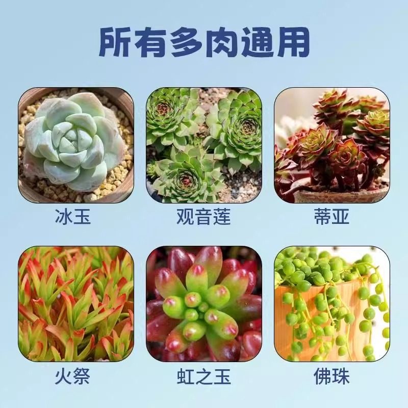 多肉专用矮胖素防徒长增肥上色矮壮剂生石花盆栽通用型浓缩营养液,淘宝优惠券,粉丝福利购,淘宝优惠卷