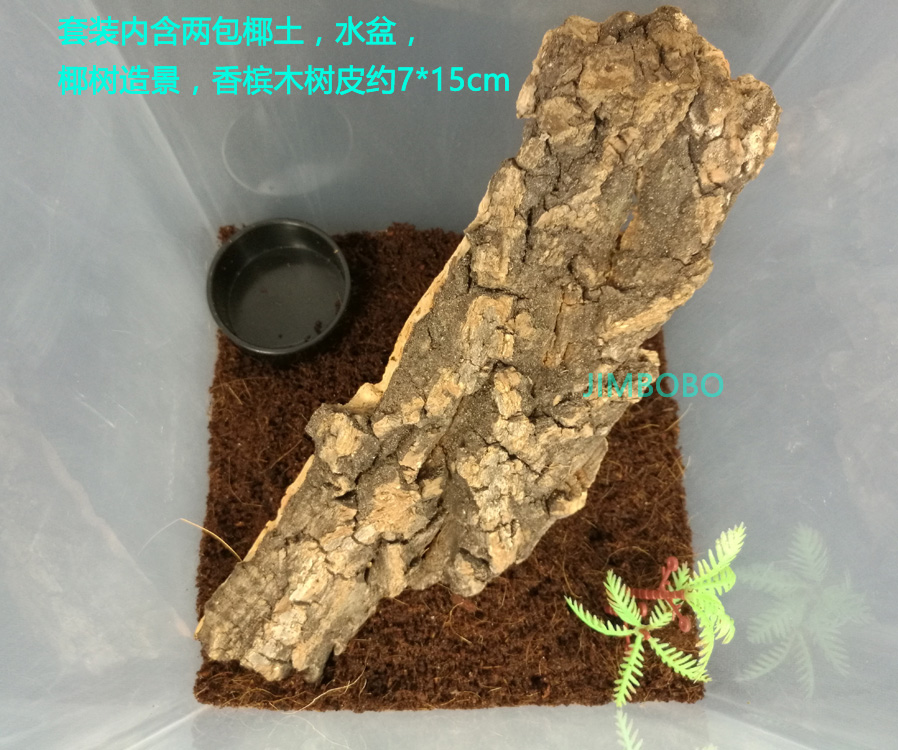 树栖蜘蛛饲养盒蜥蜴变色龙爬虫盒睫角守宫树蛙爬宠饲养盒饲养箱-图0