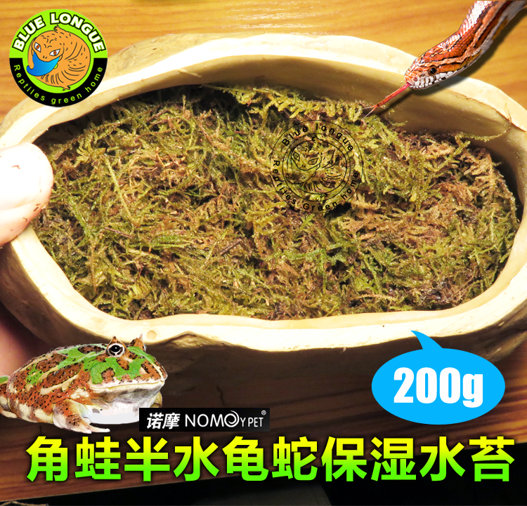 爬虫垫材天然保湿鲜水苔乌龟冬眠干苔藓宠物蛇角蛙蝎子乌龟苔藓 - 图3