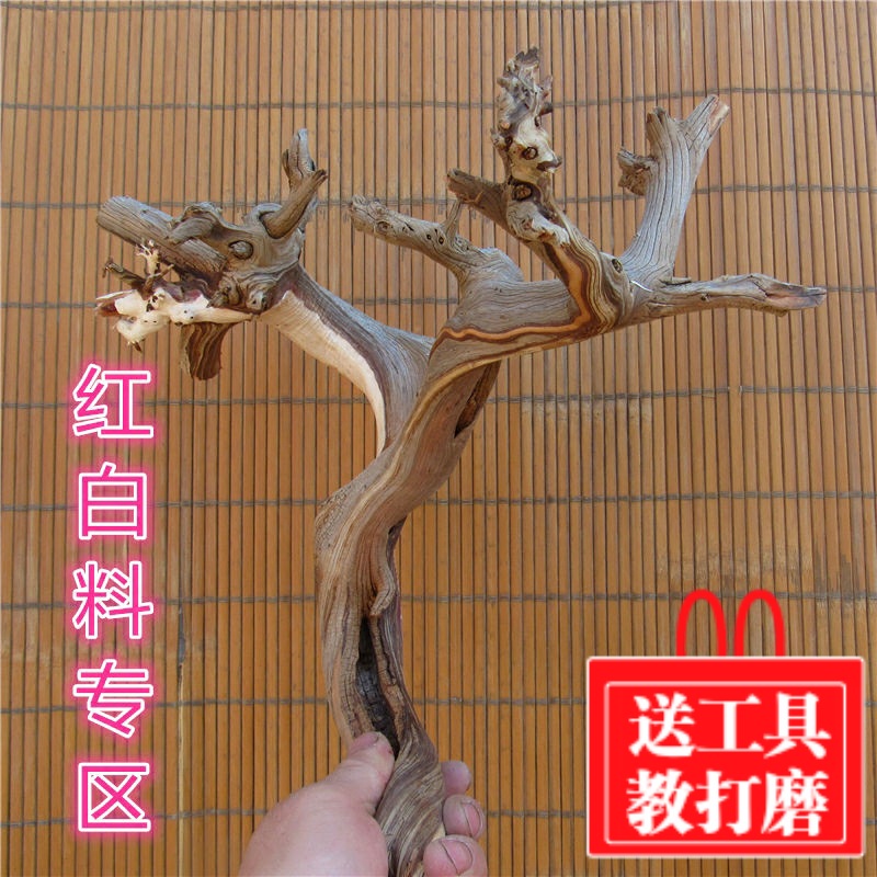 紅白雙色正宗太行崖柏毛料陳化紅油天然根雕風化原木家居擺件