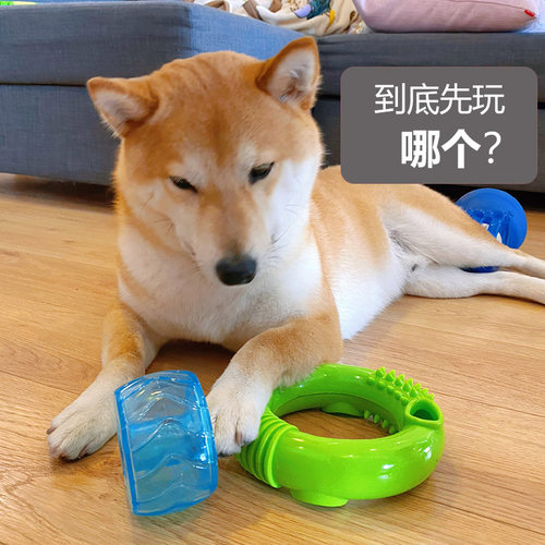 Caitec狗狗漏食玩具宠物藏食器丰荣玩具益智耐咬独处慢食解闷神器 - 图0