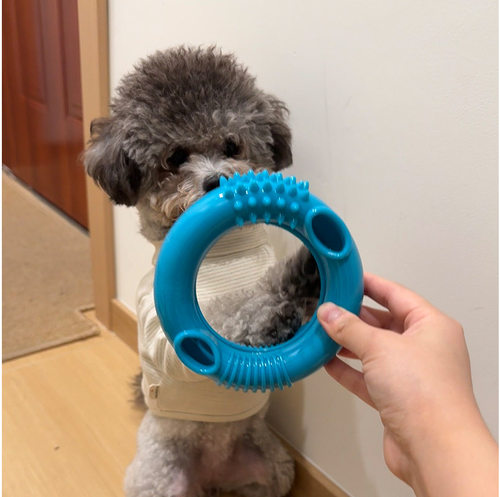 Caitec狗狗漏食玩具宠物藏食器丰荣玩具益智耐咬独处慢食解闷神器 - 图3