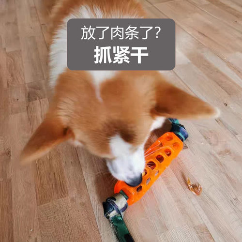 Caitec狗狗漏食玩具宠物藏食器丰荣玩具益智耐咬独处慢食解闷神器 - 图1