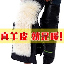 Autumn-winter electric motorcycle real lamb fur integrated warm kneecap windproof shield lengthening thickened male and female protective legs