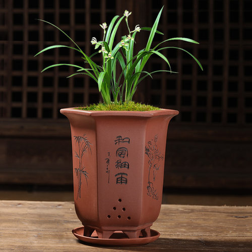 宜兴紫砂花盆带托盘兰花盆家用花盆君子兰花盆兰花专用盆特价清仓 - 图1