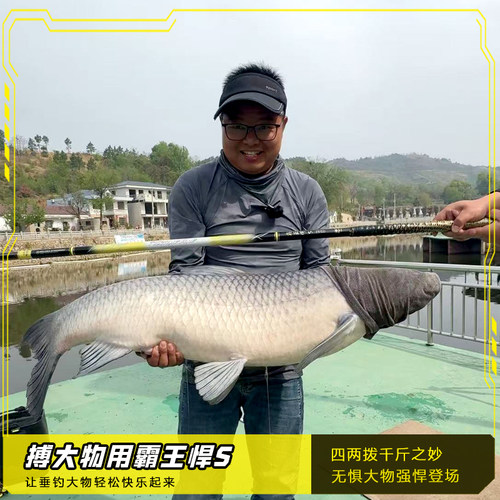 霸王悍S大物竿鱼竿手竿黑坑鲢鳙巨物台钓竿钓野钓超轻碳素钓鱼竿 - 图2