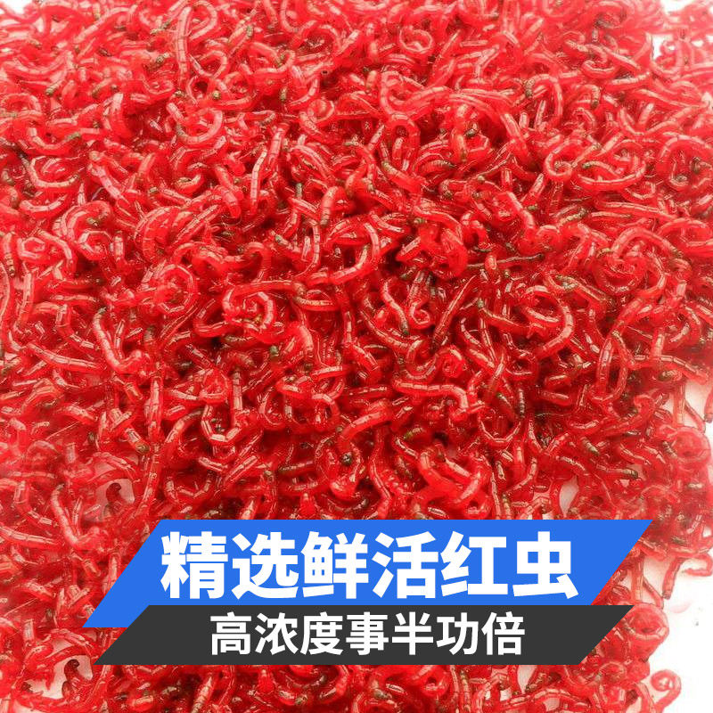 钓鱼王钓鱼小药鲫鱼饵料红虫液浓腥野钓黑坑腥味鱼饵秋季诱鱼剂,淘宝优惠券,粉丝福利购,淘宝优惠卷