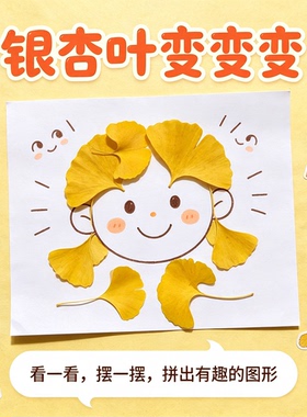 天然银杏叶 植物教学标本 黄银杏叶 幼儿园手工植物拼画相框材料