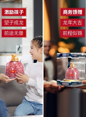 中国航天博物馆航天轮回仓碎钞摆件办公室装饰摆件文创纪念品礼物