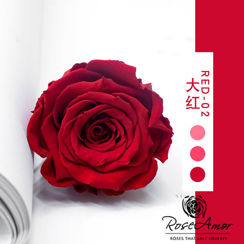 花纪永生花diy车挂玫瑰大号永生花厄瓜多尔进口roseamor5-6cm单朵 - 图2