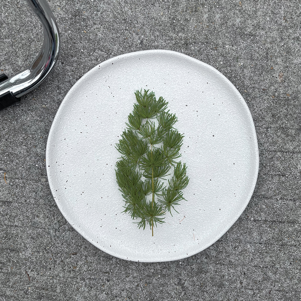 花纪永生花盒diy年宵花材车挂花环圣诞节配材永生蓬莱松小份装-图0