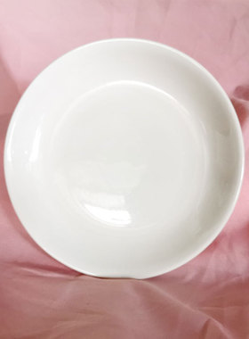 美术写生白胚厘米绘画快递盘子