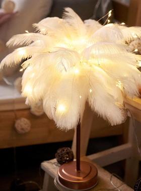 羽毛柜装创饰饰品斯间堪的纳维亚风格客厅餐桌电视羽毛灯床头柜房