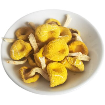 东北特产榆黄蘑干货鸡油菌黄金菇黄丝菌金顶侧耳金顶玉皇蘑黄金菇 虎窝淘