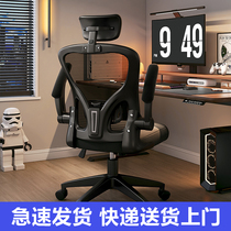 Body Ergonomics Chair Nursing Waist Computer Chair Home Long Sitting Comfort Backrest Dorm Room Electric Racing Chair Male Office Chair Seat