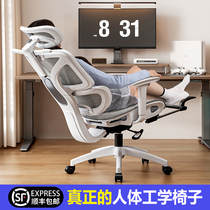 Body Ergonomics Chair Nursing Waist Computer Chair Home Comfort Long Sat Electric Race Chair Boys Can Lie Office Seat