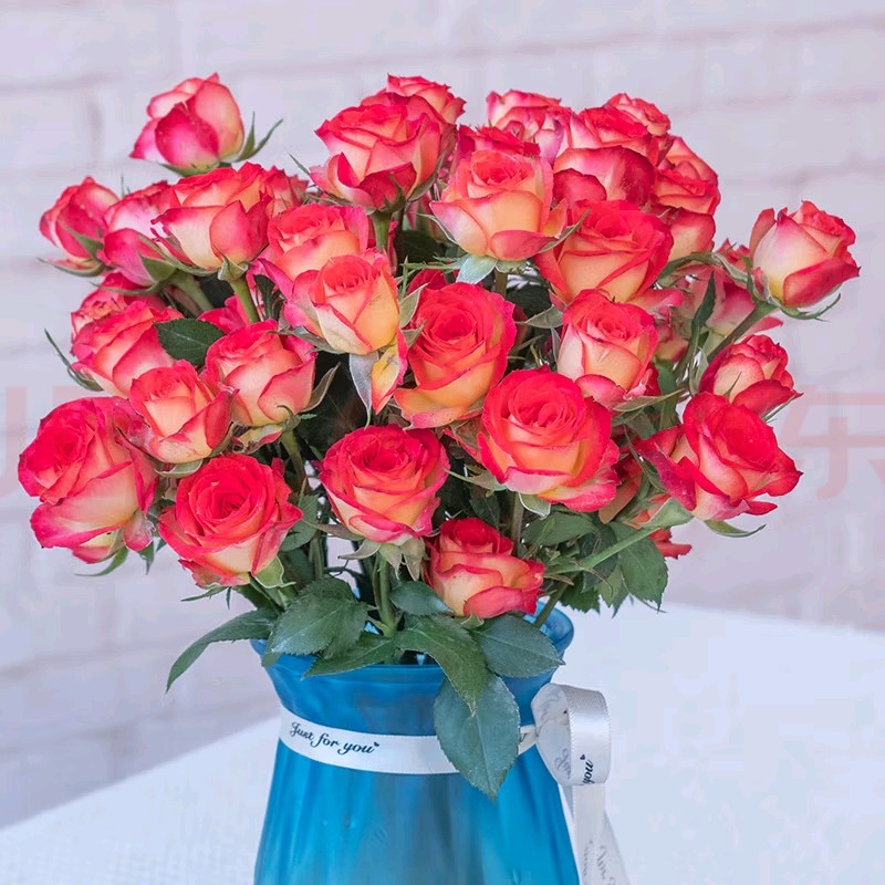 折射多头泡泡玫瑰花云南昆明基地鲜花速递同城百合花束情人节包邮,淘宝优惠券,粉丝福利购,淘宝优惠卷