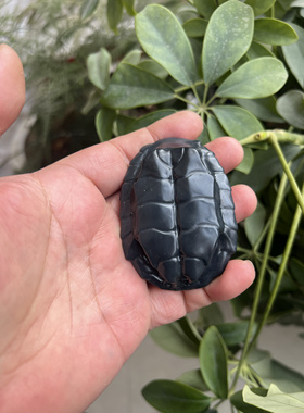 富贵甲龟背 和田玉青花立体精雕，造型大气，手感舒适，雕刻到位