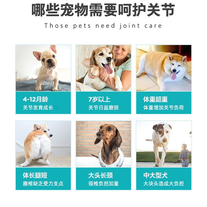 Weishi Joint Relief Tablets for Pets Joint Health Bone Calcium Supplement Calcium Tablets Dogs Elderly Dogs Shark Chondroitin Joint Health