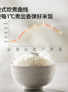 【1一3人适用】lotor智能小饭煲