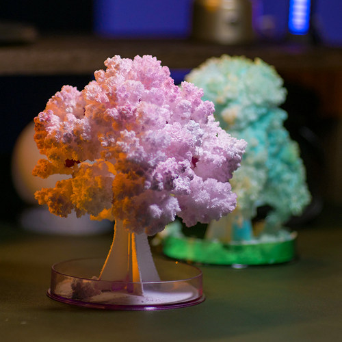 圣诞节圣诞树益智儿童趣味科学小实验手工DIY纸树开花生长化学种 - 图1