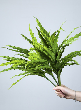 蕨类植物鸟巢叶仿真绿植软胶高档造景叶材家居装饰材料仿真草摆件