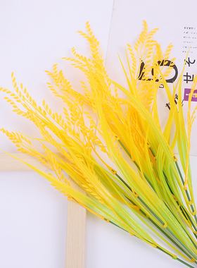 植物麦穗塑料摄影塑料道具假花
