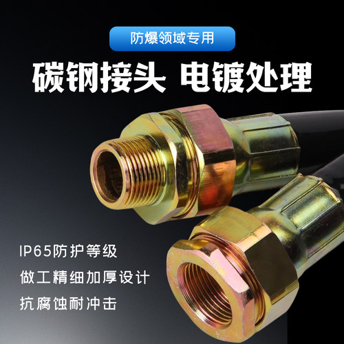 BNG防爆挠性管4分6分定制电线穿线接线软管DN15 DN20挠性连接管 - 图2