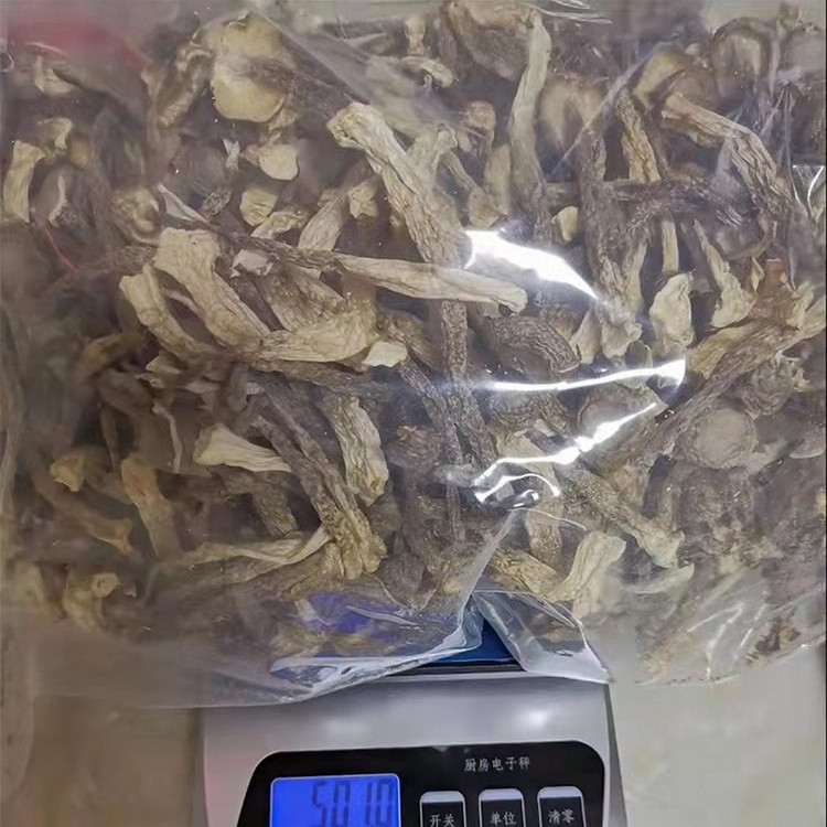 新鲜鹿茸菇干货500g鹿茸菌特级鹿茸菇煲汤食材食用菌菇野蘑菇香菇 - 图0