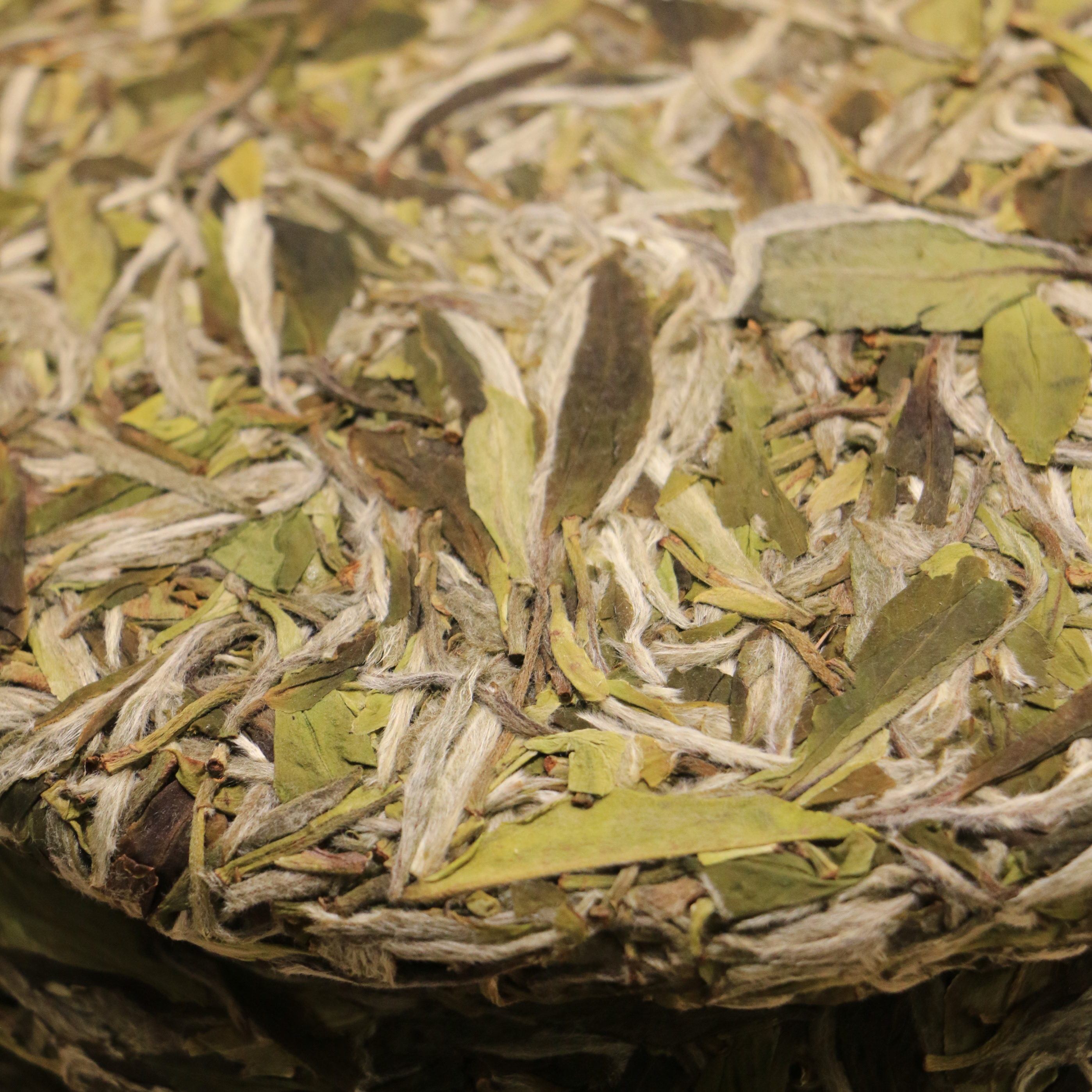 福鼎白茶【桃花】2025年老枞荒野白牡丹饼正宗磻溪高山茶叶300克 - 图0