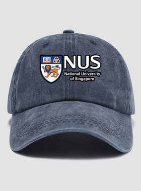 新加坡国立大学纪念品NUS周边校