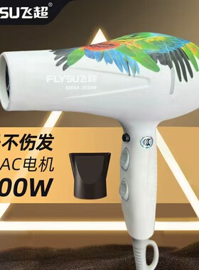 飞超6868吹风机2400瓦超大风理发店发型师专用大功率速干发廊造型