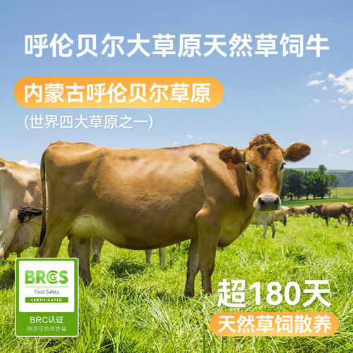 狗狗零食磨牙棒牛肋骨柯基比熊中小型犬幼犬宠物洁齿耐咬补钙骨头 - 图0